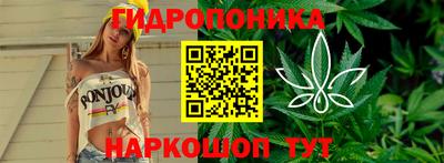 индика Татарск
