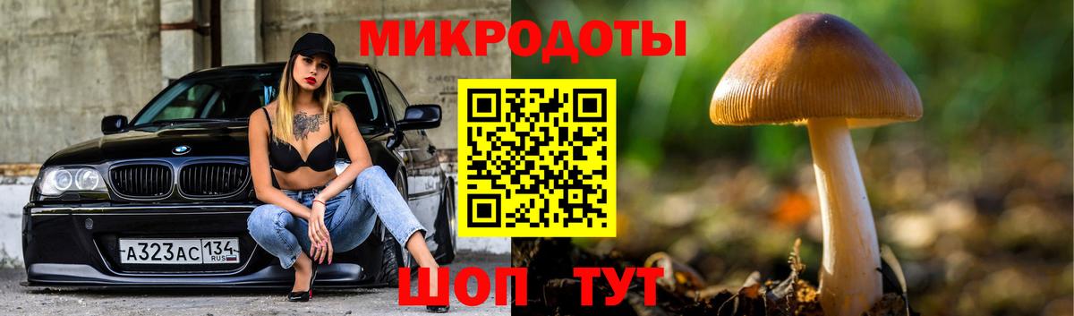 Псилоцибиновые грибы Magic Shrooms Протвино